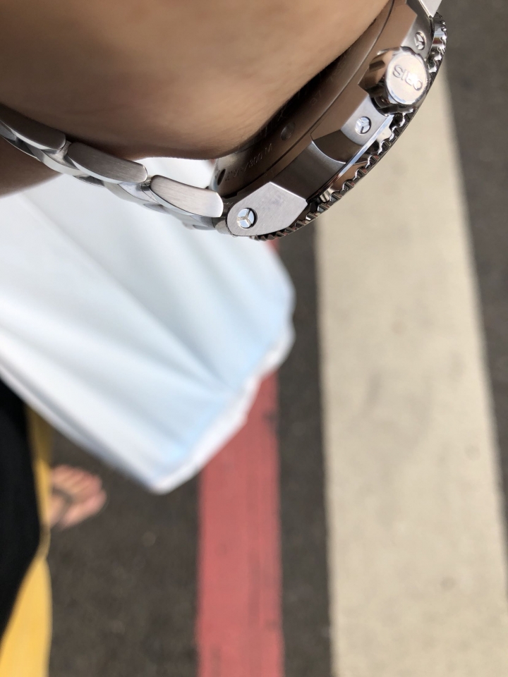 2019 ORIS AUUIS GMT雙時區