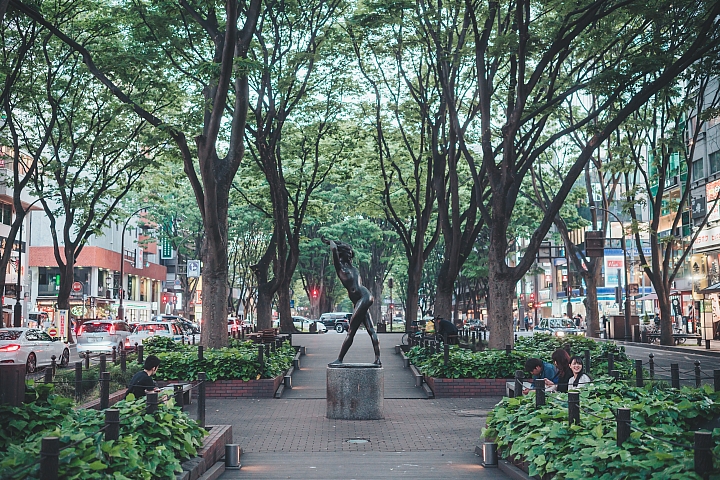[A7RIII] 2019日本東北行