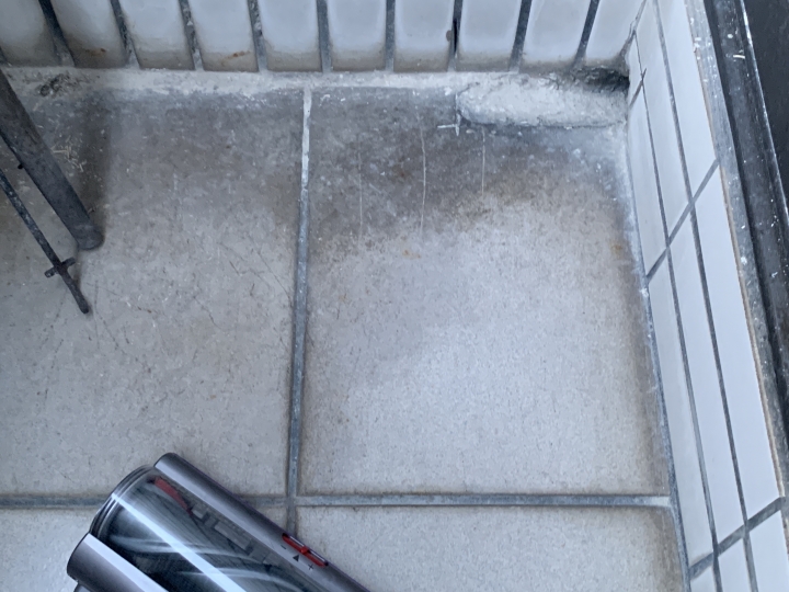 【開箱】Dyson V11 出任務(我召喚你回來，重生吧塵蟎，我還你原形)