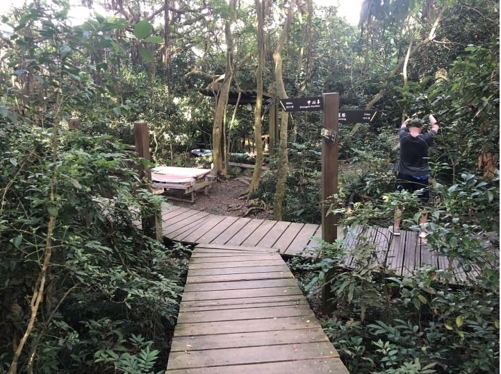 親近高雄大自然,南北壽山縱走(南北柴山)散步行,路線分享!
