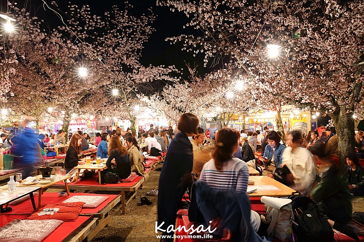 [6D | 遊記] 關西親子賞櫻行程 | 櫻花、夜景、動物園，闔家歡樂一次滿足