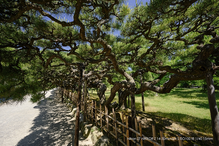 Nikon Z 14-30mm f/4 S 深度評測（圖多）
