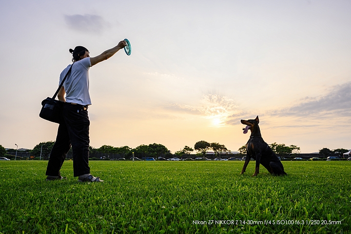 Nikon Z 14-30mm f/4 S 深度評測（圖多）