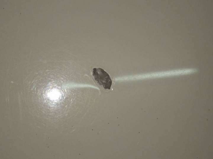 餐桌破了一個洞，請問該怎麼維修