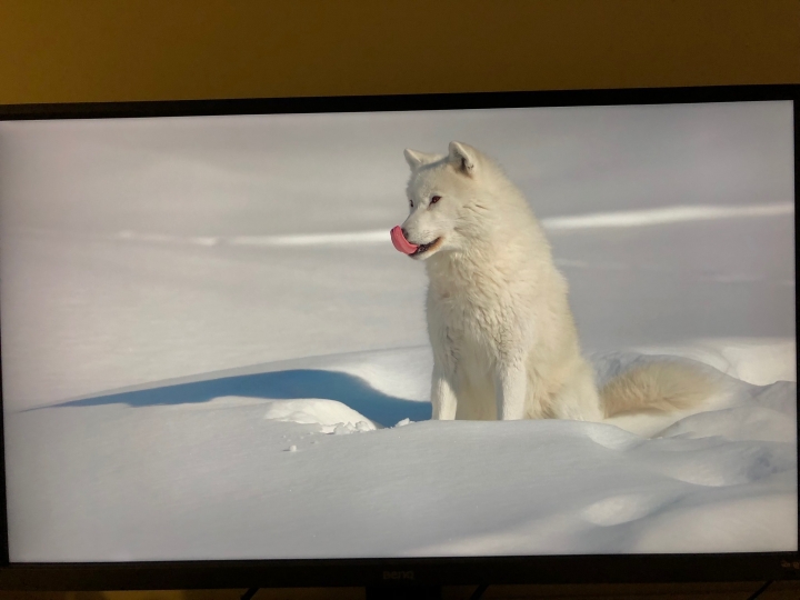 直上4K HDR的視界- BenQ EW3270U 開箱!!