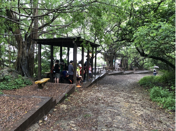 親近高雄大自然,南北壽山縱走(南北柴山)散步行,路線分享!