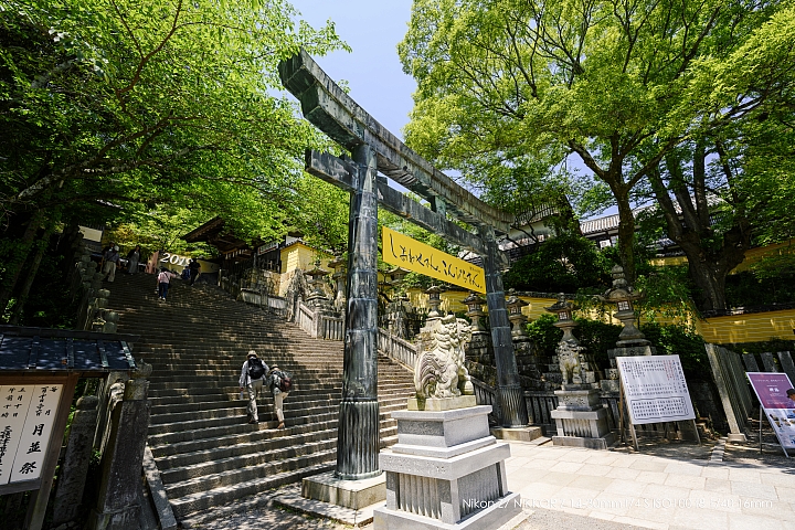 Nikon Z 14-30mm f/4 S 深度評測（圖多）