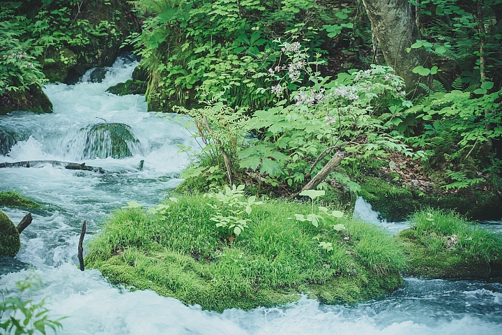 [A7RIII] 2019日本東北行