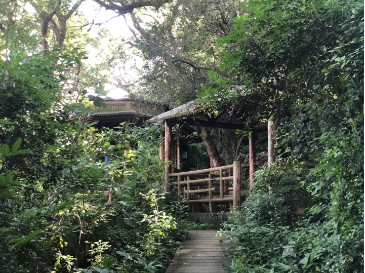 親近高雄大自然,南北壽山縱走(南北柴山)散步行,路線分享!