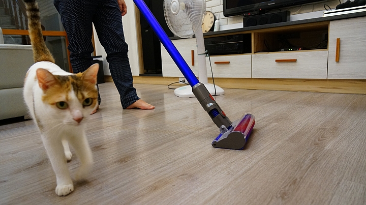 Dyson V11 Absolute 毛小孩家中一定要有的吸塵器