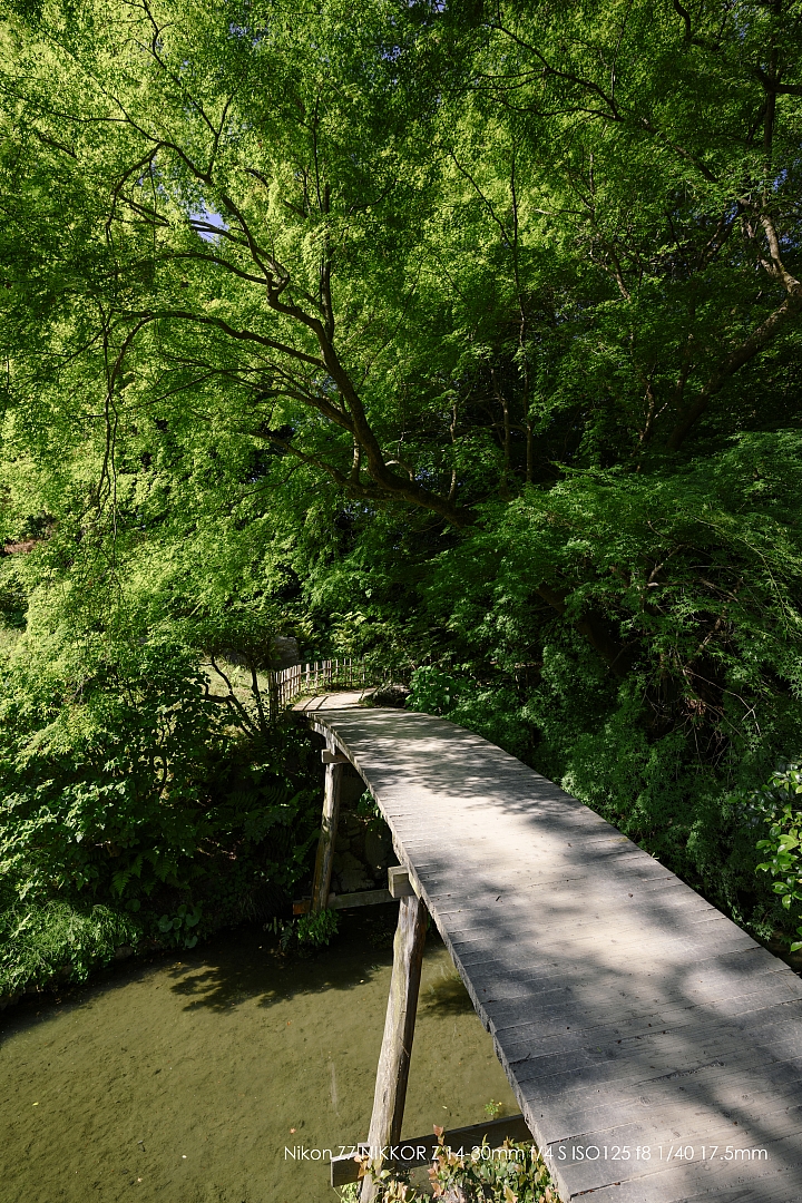 Nikon Z 14-30mm f/4 S 深度評測（圖多）