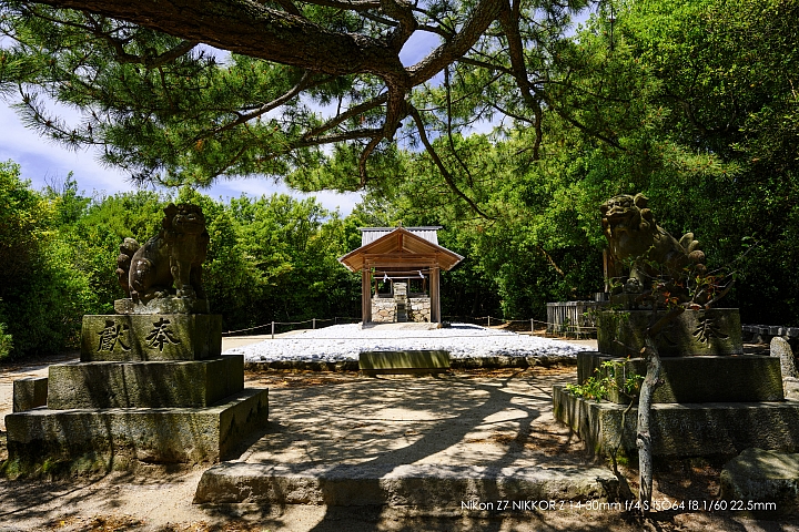 Nikon Z 14-30mm f/4 S 深度評測（圖多）