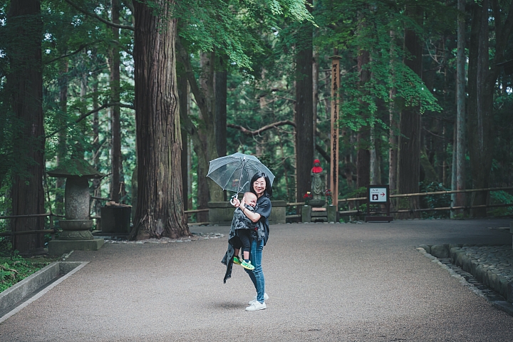 [A7RIII] 2019日本東北行