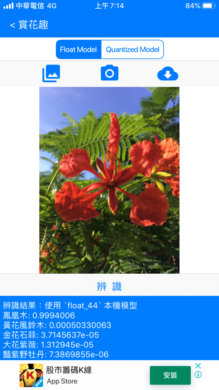[機器學習][自製]一起賞花趣！提供即時花況及超過1000個景點！還有「拍花認樹」！