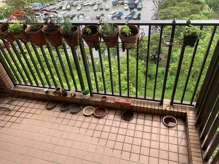 ［開箱］陽光、實木、好空氣。我的偽無印風