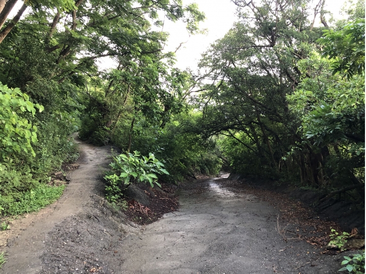 親近高雄大自然,南北壽山縱走(南北柴山)散步行,路線分享!