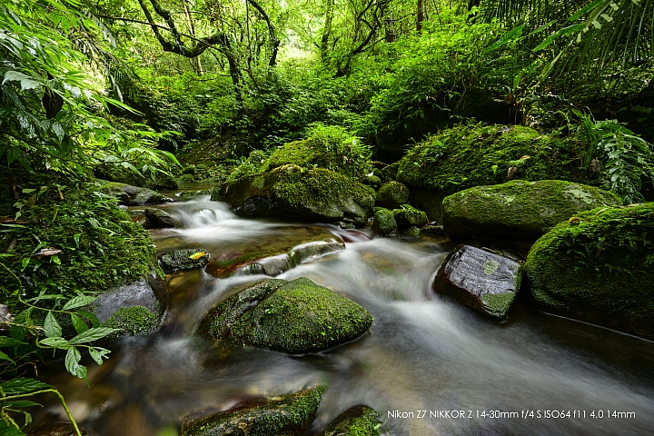 Nikon Z 14-30mm f/4 S 深度評測（圖多）