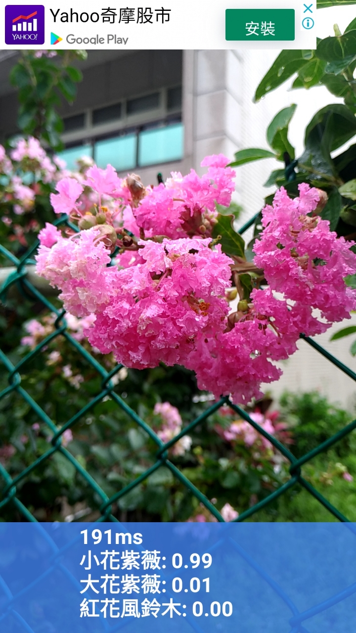 [機器學習][自製]一起賞花趣！提供即時花況及超過1000個景點！還有「拍花認樹」！