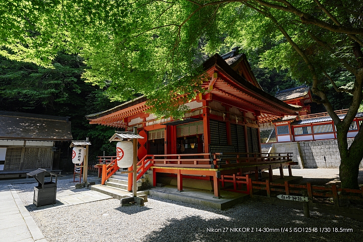 Nikon Z 14-30mm f/4 S 深度評測（圖多）