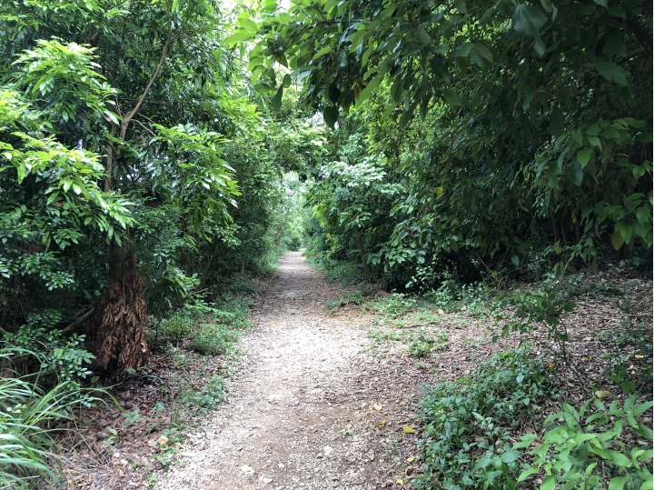 親近高雄大自然,南北壽山縱走(南北柴山)散步行,路線分享!