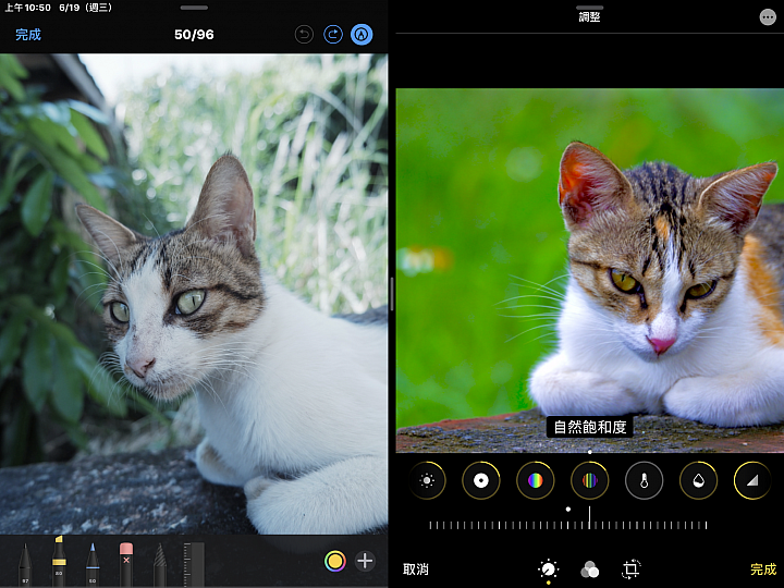 【分享】iPad mini iOS 13 Beta 2 升級 測試玩玩