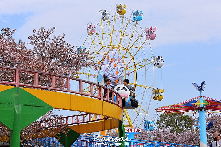 [6D | 遊記] 關西親子賞櫻行程 | 櫻花、夜景、動物園，闔家歡樂一次滿足