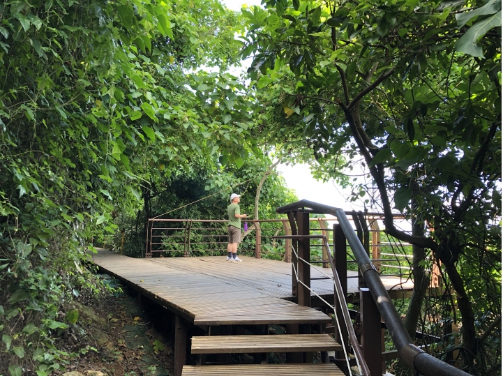 親近高雄大自然,南北壽山縱走(南北柴山)散步行,路線分享!