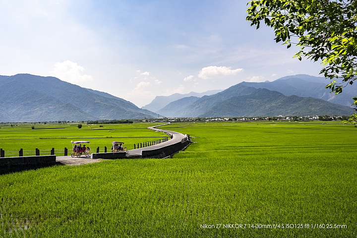 Nikon Z 14-30mm f/4 S 深度評測（圖多）