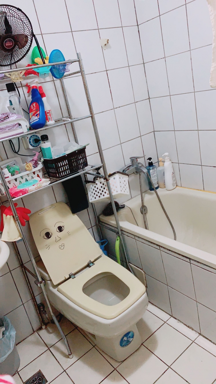 關於廁所翻新
