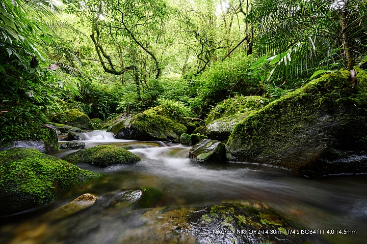 Nikon Z 14-30mm f/4 S 深度評測（圖多）