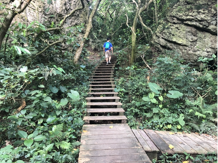 親近高雄大自然,南北壽山縱走(南北柴山)散步行,路線分享!