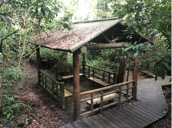 親近高雄大自然,南北壽山縱走(南北柴山)散步行,路線分享!