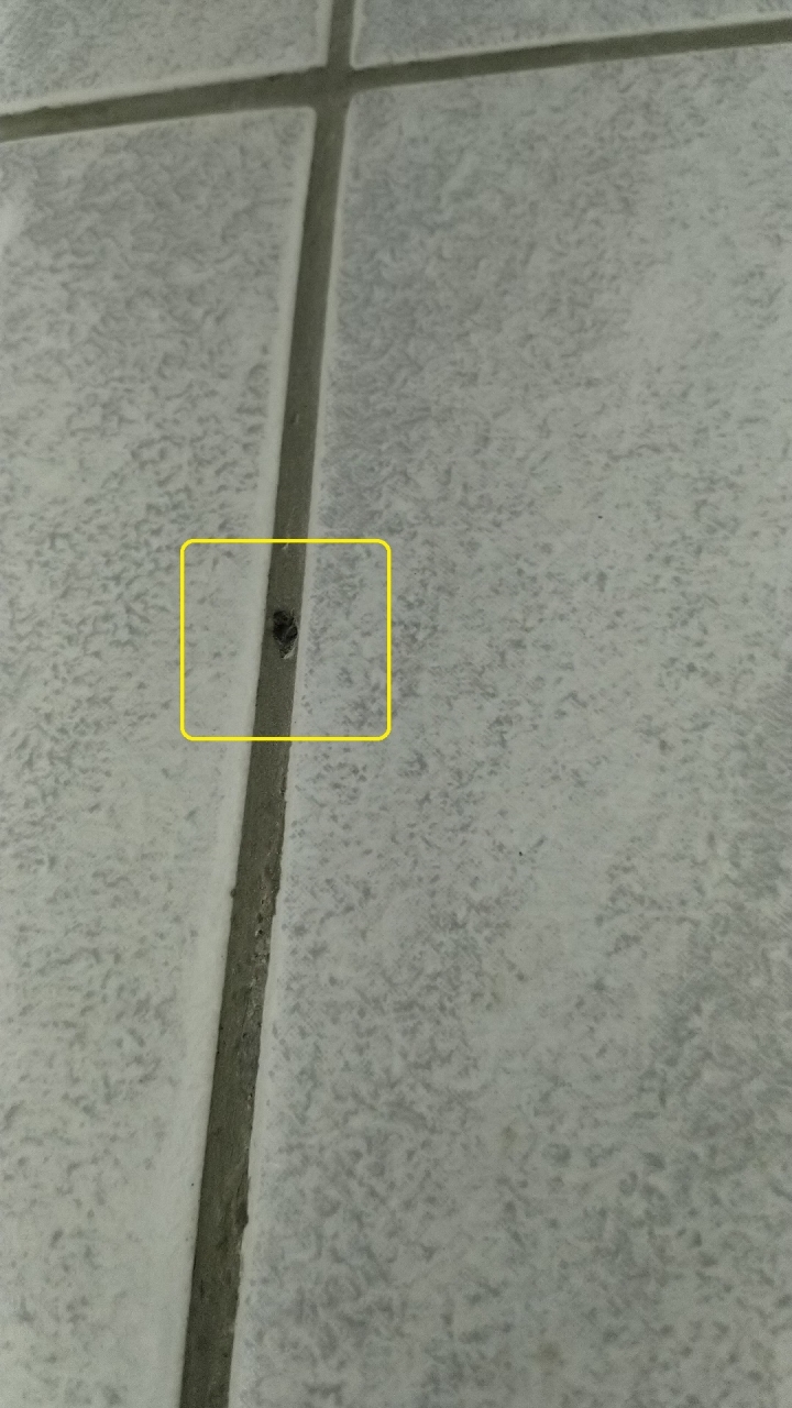 這種施工品質該付清完工款嗎?