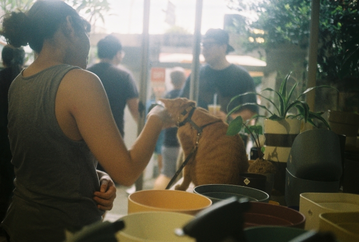 [Ricoh 35EFS]花蓮，台北[Kodak 200]