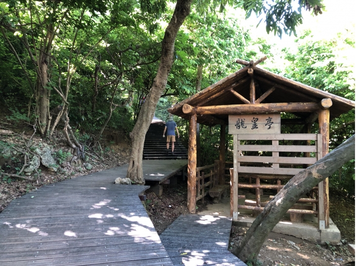 親近高雄大自然,南北壽山縱走(南北柴山)散步行,路線分享!