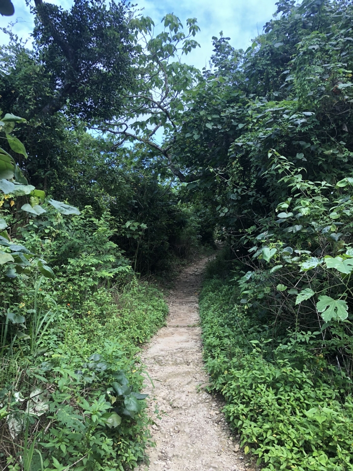 親近高雄大自然,南北壽山縱走(南北柴山)散步行,路線分享!