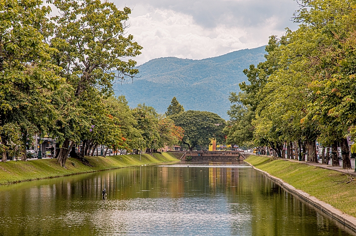 夏日清邁 [EOS RP EF24-105mm]
