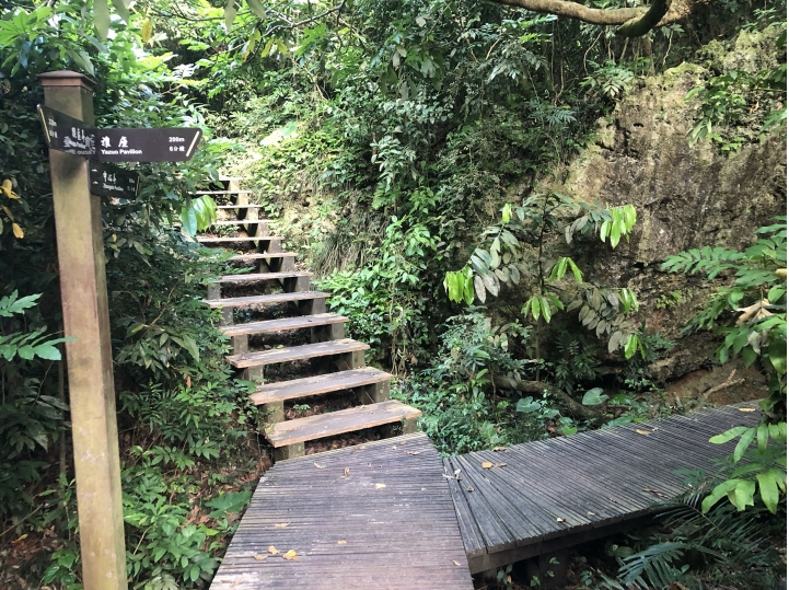 親近高雄大自然,南北壽山縱走(南北柴山)散步行,路線分享!