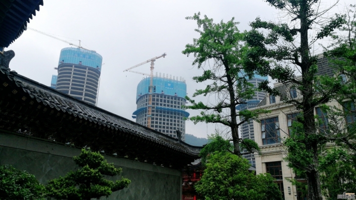 中國大陆出差回來