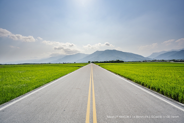 Nikon Z 14-30mm f/4 S 深度評測（圖多）