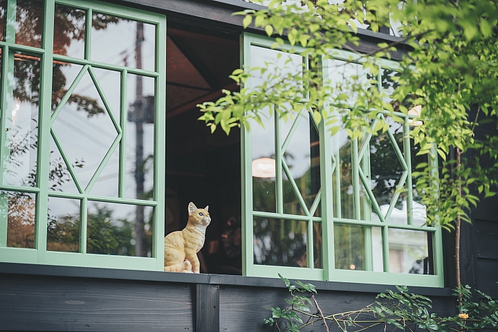 [A7RIII] 2019日本東北行