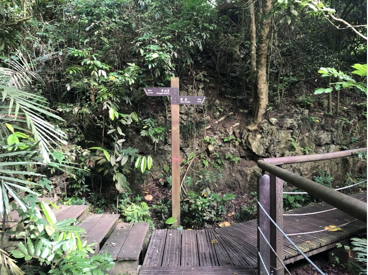 親近高雄大自然,南北壽山縱走(南北柴山)散步行,路線分享!