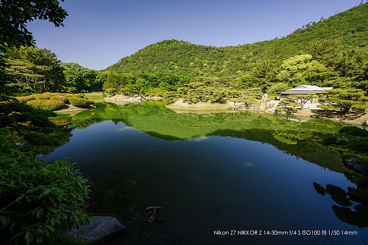 Nikon Z 14-30mm f/4 S 深度評測（圖多）