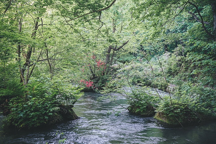[A7RIII] 2019日本東北行