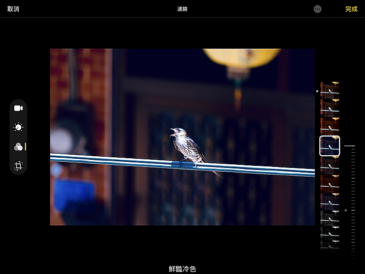 【分享】iPad mini iOS 13 Beta 2 升級 測試玩玩