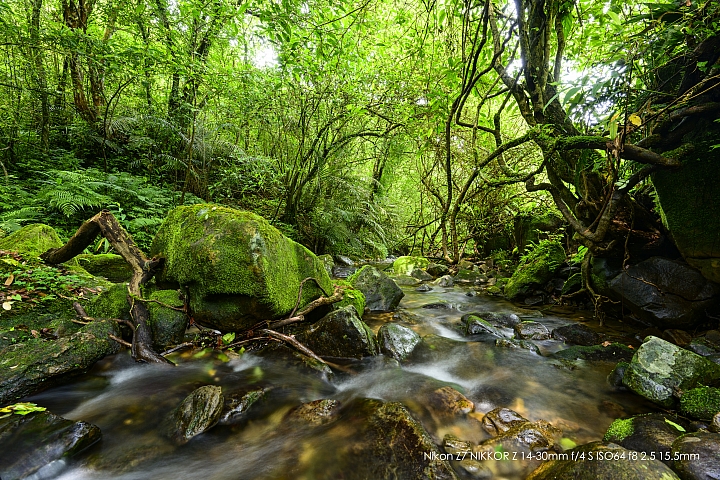 Nikon Z 14-30mm f/4 S 深度評測（圖多）