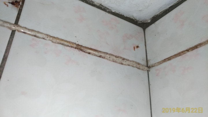 [附圖]裝潢有彈性的殘膠 如何去除