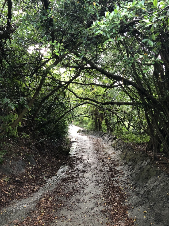 親近高雄大自然,南北壽山縱走(南北柴山)散步行,路線分享!