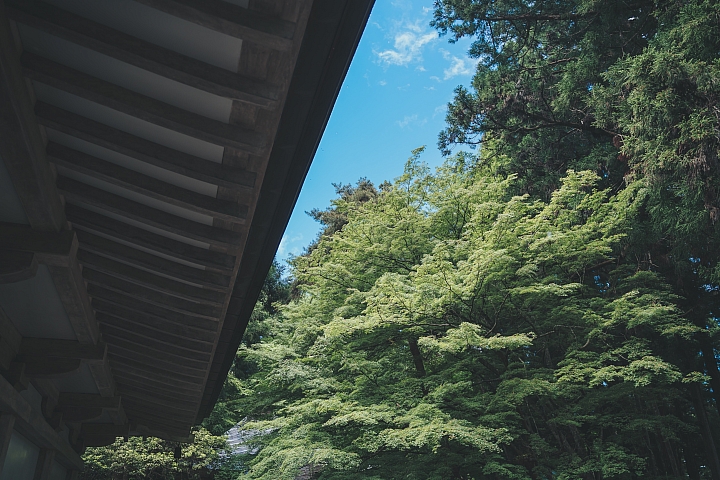 [A7RIII] 2019日本東北行