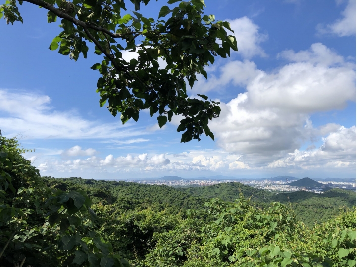 親近高雄大自然,南北壽山縱走(南北柴山)散步行,路線分享!